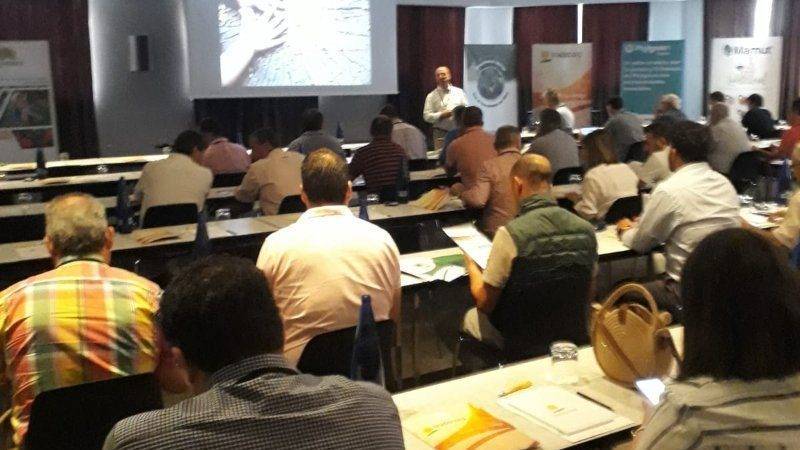 fungicida-para-el-olivo|cairel-Tradecorp